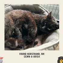 Thumbnail photo of Minnie #2