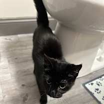 Thumbnail photo of Grayson #2