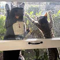 Thumbnail photo of Miski #3