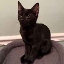 Thumbnail photo of Roz #2