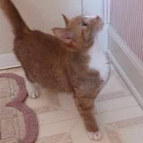 Thumbnail photo of Peaches #3