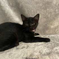 Thumbnail photo of Namra - CCHS #2