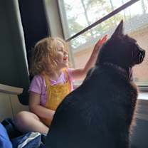 Thumbnail photo of Magic #2