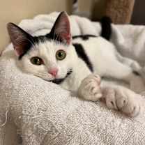 Thumbnail photo of Lulu #2