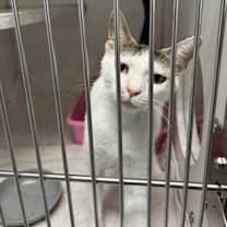 Thumbnail photo of Mina #2