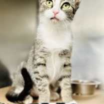 Thumbnail photo of Annie #1