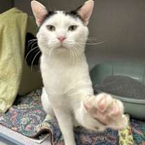 Thumbnail photo of Ferris #1