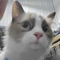 Thumbnail photo of Pawla #1