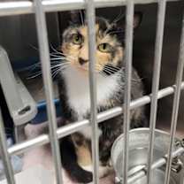 Thumbnail photo of Mia #2