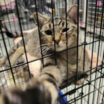 Thumbnail photo of Moira #1