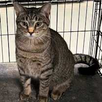 Thumbnail photo of Moira #4