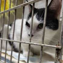 Thumbnail photo of Celly #4