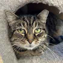 Thumbnail photo of Anita #1