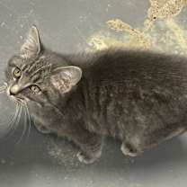 Thumbnail photo of Noah #2