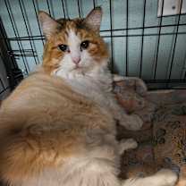 Thumbnail photo of Claudia #1