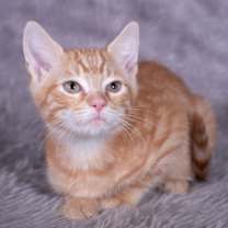 Thumbnail photo of Daggett - Andrea foster #1