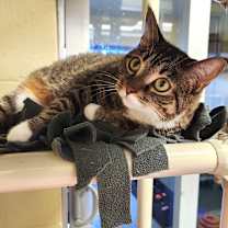 Thumbnail photo of August #4