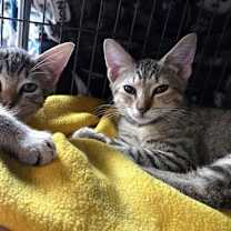 Thumbnail photo of Gertrude (and Fiona) #4