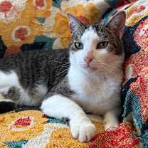 Thumbnail photo of Lucky #1