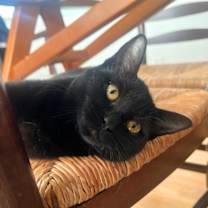 Thumbnail photo of Elodie #3