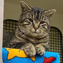 Thumbnail photo of Muneco #1