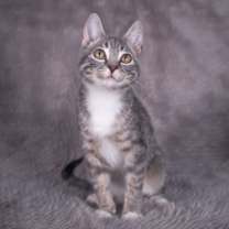 Thumbnail photo of Champion - Andrea foster #1