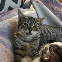 Thumbnail photo of The Mummy (1999) #3