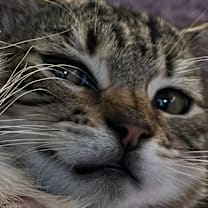 Thumbnail photo of The Mummy (1999) #4