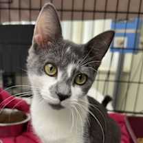 Thumbnail photo of RW2 #2