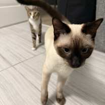 Thumbnail photo of Sky & Angelle #4