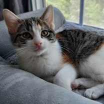 Thumbnail photo of Lilith #2