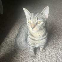 Thumbnail photo of Minnie #2