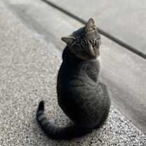 Thumbnail photo of Clyde #4