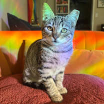 Thumbnail photo of The Mummy (1999) #1