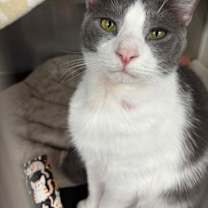 Thumbnail photo of Thunder #2