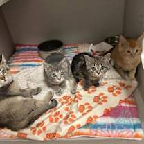 Thumbnail photo of Doc #3