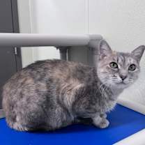 Thumbnail photo of Baby #1