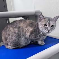 Thumbnail photo of Baby #2