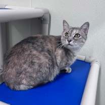 Thumbnail photo of Baby #3