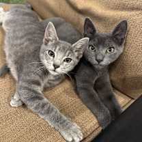 Thumbnail photo of Dayana #2