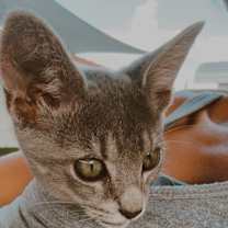 Thumbnail photo of Dayana #3