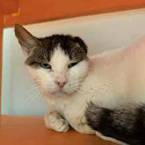 Thumbnail photo of Speedway #1