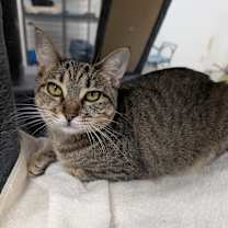 Thumbnail photo of Junebug #1