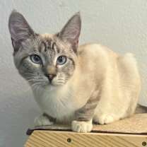 Thumbnail photo of Hannah #1