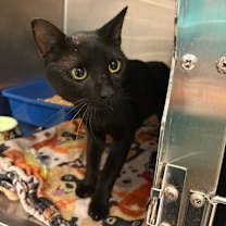 Thumbnail photo of Chuck #2