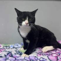 Thumbnail photo of Cherry Garcia #3