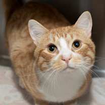 Thumbnail photo of 89500a Parker #1