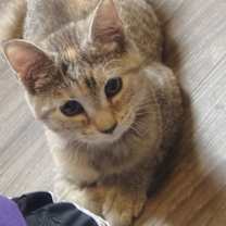 Thumbnail photo of Moana #1