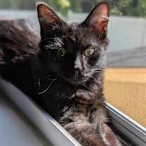 Thumbnail photo of 0925-207 Ms. Rho #1