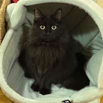 Thumbnail photo of Missy #4